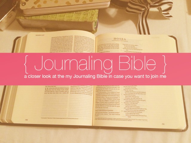 A Closer Look at my Journaling Bible | apileofashes.com