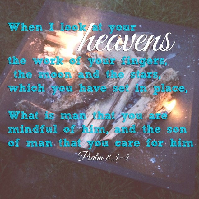 apileofashes.com