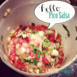 Pico Salsa Recipe - a pile of Ashes