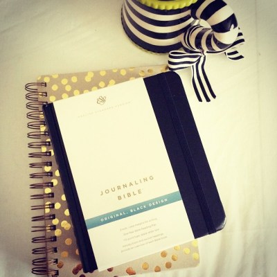 Journaling Bible | apileofashes.com