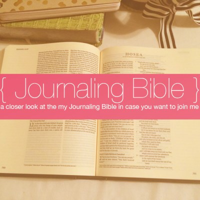 A Closer Look at my Journaling Bible | apileofashes.com