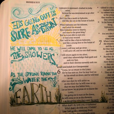 Journaling Bible | Hosea She Reads Truth apileofashes.com
