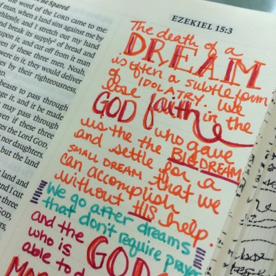 Journaling Bible | Dream Big apileofashes.com