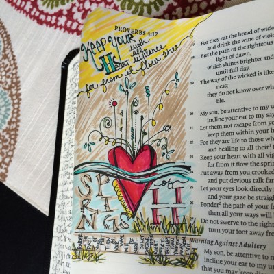 Journaling Bible | Well Spring of Life | apileofashes.com