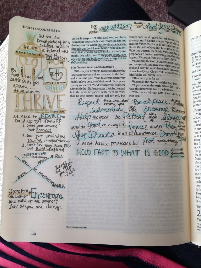Journaling Bible | THRIVE  apileofashes.com