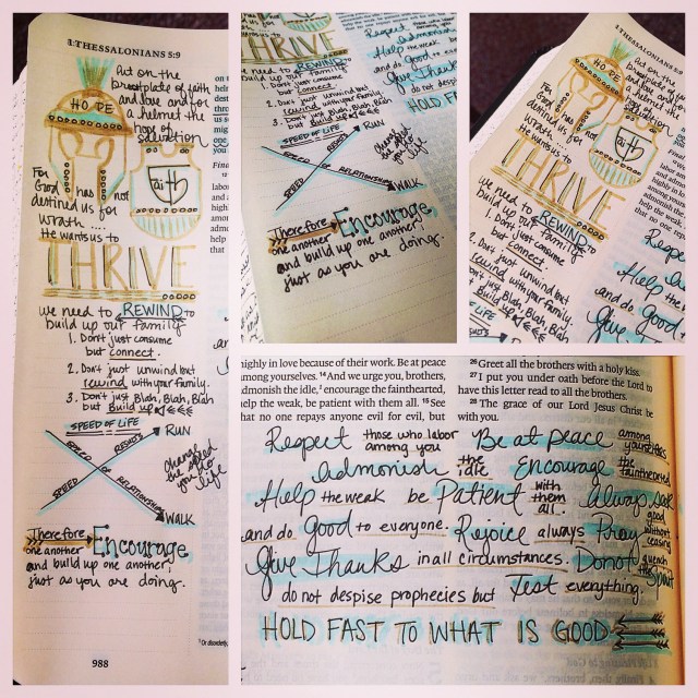 Journaling Bible | THRIVE  apileofashes.com
