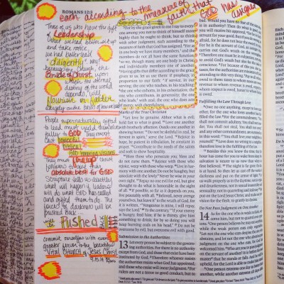 Journaling Bible | The Gift of Leadership | apileofashes.com