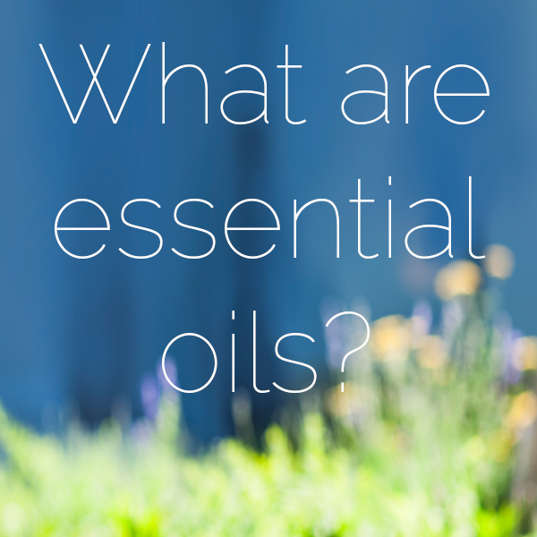 What Are Essential Oils? | apileofashes.com