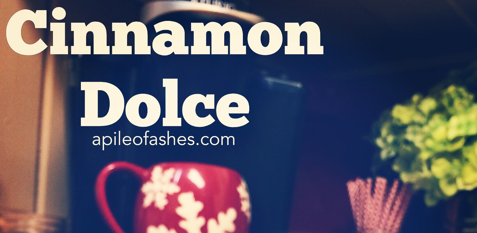 Cinnamon Dolce | apilefoashes.com