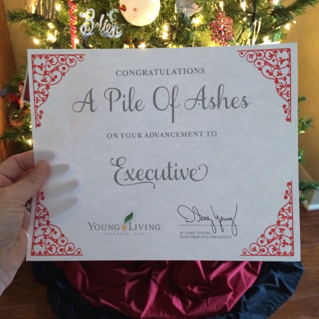 Executive | apileofashes.com