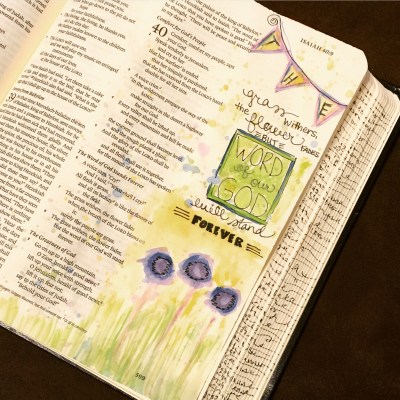 Journaling Bible | Grass Withers apileofashes.com