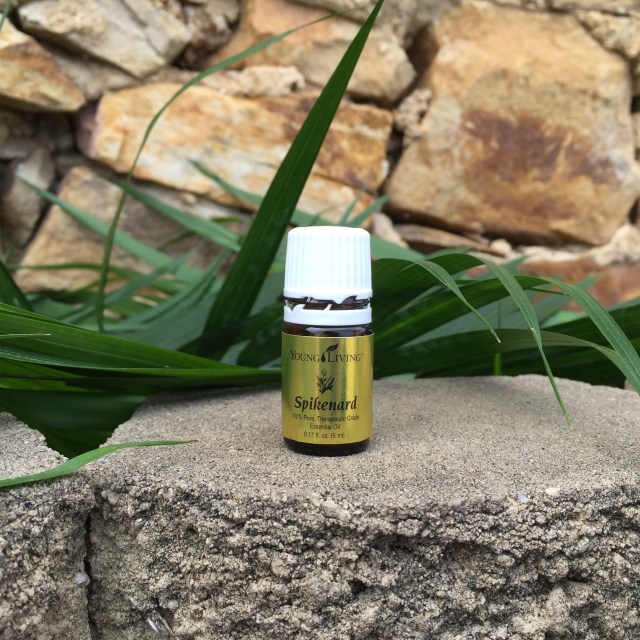 Essential Oils & God's Word | Spikenard | apileofashes.com