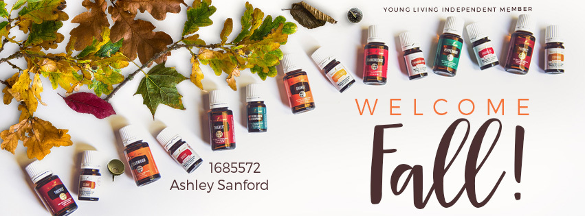 fall-facebook-header