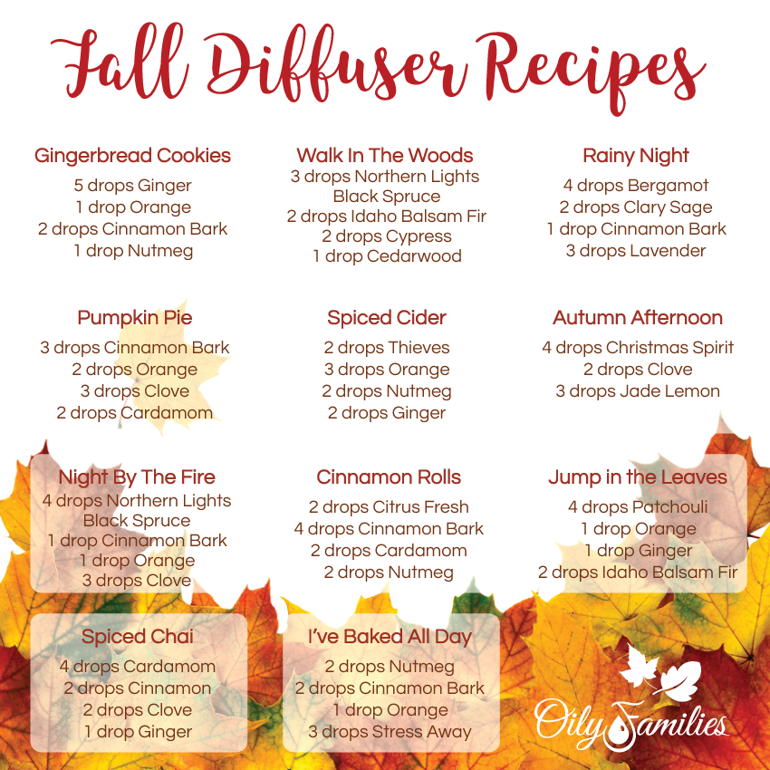 Diffuser-Recipes-Fall