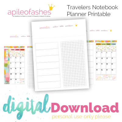 Positivity Planner Printable